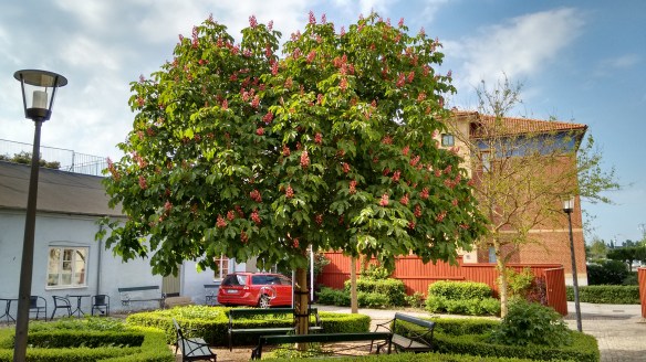 IMG_20160524_165639891_HDR